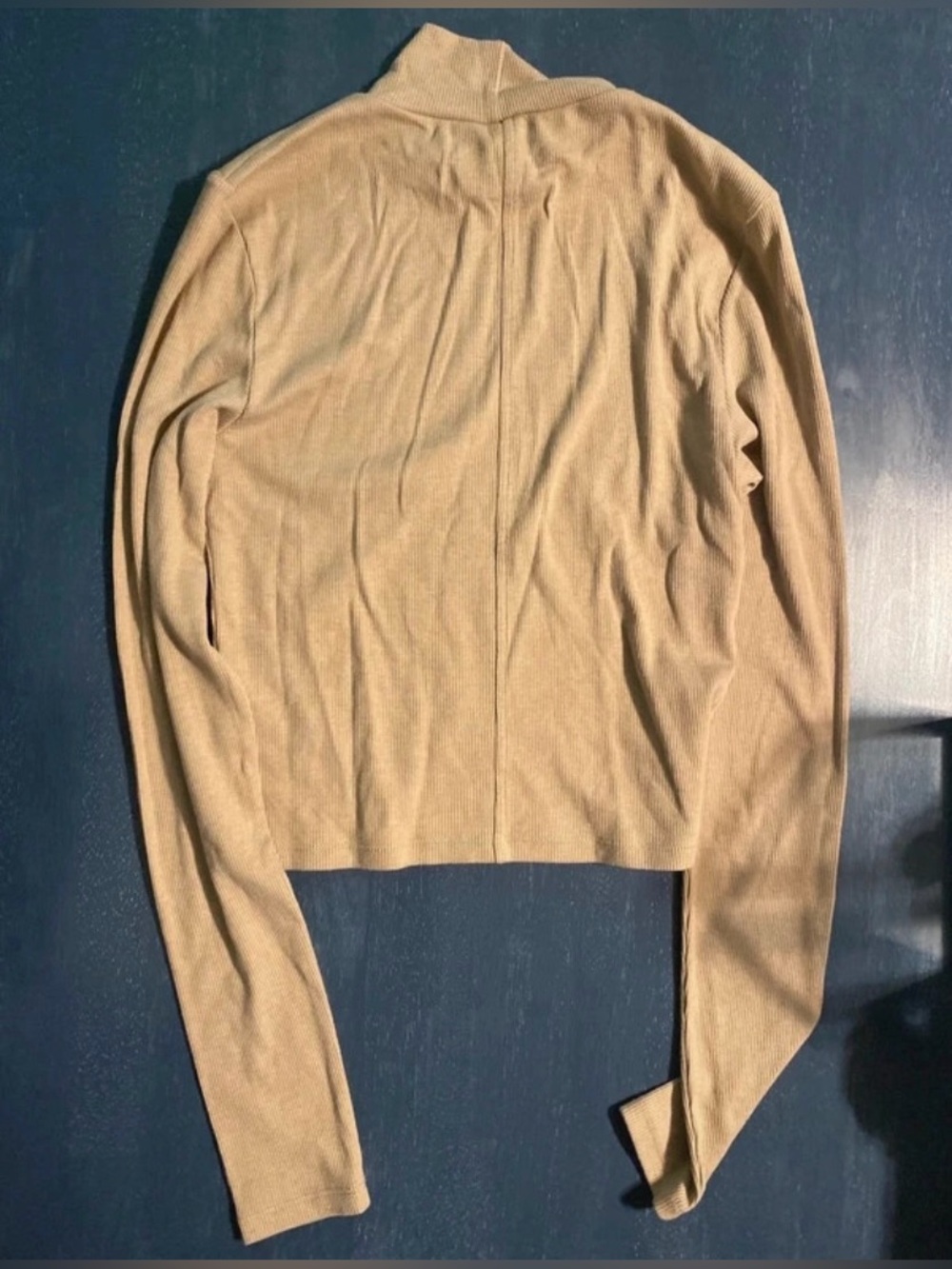American Eagle Outfitters Women's Camel Cropped Turtleneck Shirt